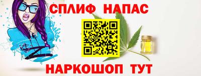 гидра Гай