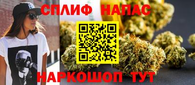 гидра Гай