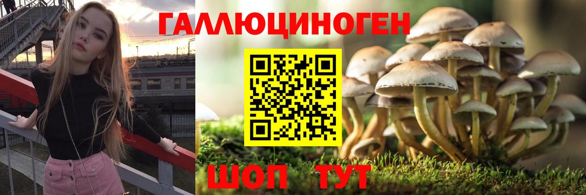 Псилоцибиновые грибы Psilocybine cubensis  Вход с VPN  Муравленко  где купить наркоту  Псилоцибиновые грибы мицелий 